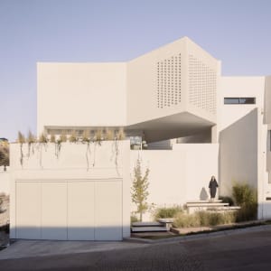 Modern minimalist residential exterior with concrete structure and natural plants on the roof.
