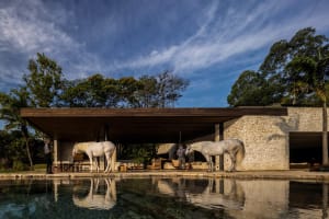 A modern residential stone house with a swimming pool and a large garden surrounded by greenery and trees.