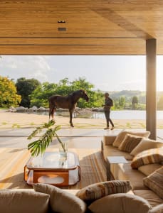 A minimalist living room with a horse outside, featuring wooden furniture and a large glass window.