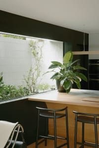 A modern kitchen with wooden countertop, white tile backsplash, and green potted plant.