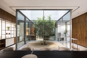 A minimalist office courtyard with glass walls and a central tree.