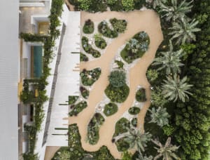 A modern garden featuring gravel pathways and succulent plants.