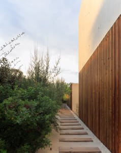 A modern architectural entrance featuring a wooden walkway, concrete ground, and metal accents.