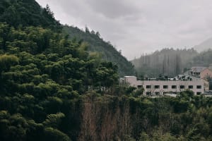Modern, concrete residential buildings nestled among lush green trees and hills.
