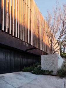 Modern residential entryway featuring wood panels and concrete elements.