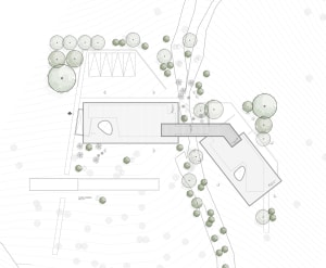 Floor plan of a landscape design showing layout and plantings.
