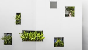A white wall with multiple small window openings filled with lush green plants and one larger window overlooking a serene gar