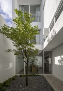 A minimalist entryway with concrete walls, large windows, and a tree in a gravel courtyard.
