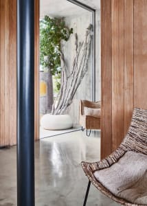 Modern minimalist living room with natural wood paneling, concrete floors, and potted plants in unique planters