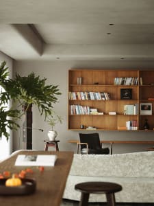 A minimalist living room with wooden furniture, a bookshelf, and a large plant.