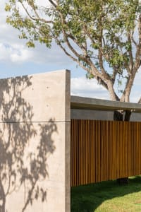 Modern house with concrete walls and wooden accents under a tree on a sunny day.