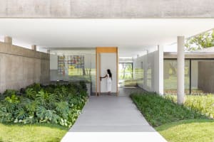 A minimalist residential entryway featuring a concrete pathway bordered by greenery, leading to a glass door.