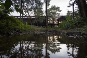 Modern house reflected in a serene body of water surrounded by lush greenery and trees.