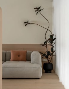 Modern, minimalist living room with grey fabric sofa, pink cushion, and indoor plant in flower pot.