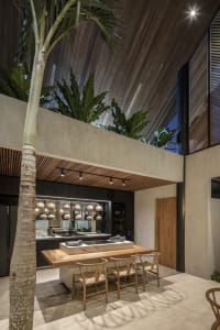 Modern kitchen with wood accents, concrete countertops, and palm tree
