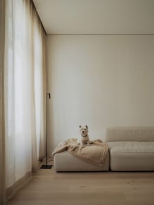 A minimalistic living room with a light-colored couch and a small white dog sitting on a blanket.
