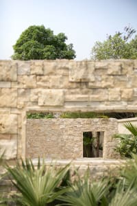 A view of a stone wall in a garden setting with green foliage and trees in the background.