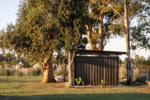 A modern metal shed with trees in the background, showcasing architectural design and outdoor living.