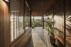 Modern interior design featuring Walnut wood elements.