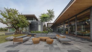 A modern residential exterior with dark grey walls, wooden accents, and a combination of trees and foliage.