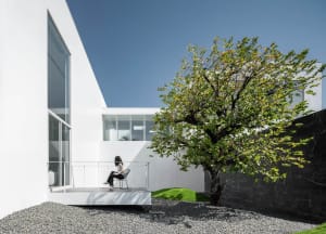 A modern white house with a garden featuring a tree and gravel pathway.