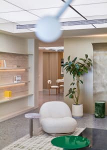 A modern lobby with a concrete floor and green plant.