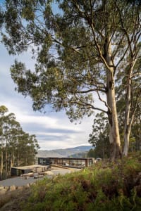 A modern wooden house nestled in a forest