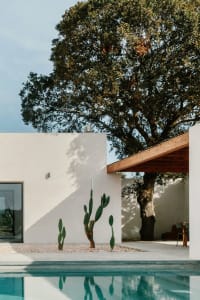 Modern villa exterior with sandstone walls, a swimming pool, and a cactus garden.