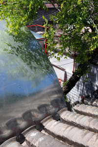 Metal roof reflecting tree leaves and sunlight