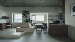 A modern minimalist living area with a concrete and wooden design, featuring a plant, a woman sitting on a couch, and a kitch