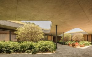 A modern living space featuring concrete flooring and numerous green plants
