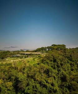 A modern residential structure with a green rooftop and concrete materials surrounded by lush greenery.