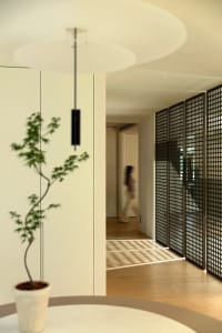 A minimalist residential interior featuring wooden flooring and a potted plant.
