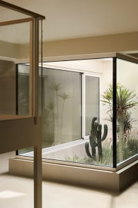 A minimalist glass room interior with a display of plants.