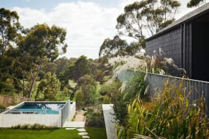 A modern residential backyard featuring a small pool surrounded by greenery, with a wooden fence and a large house in the bac