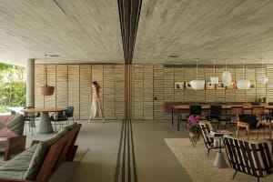 A modern interior design featuring wooden furniture, concrete elements, and lush plants.
