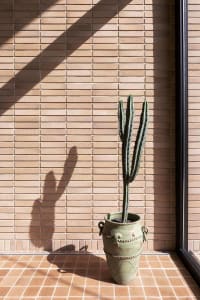 A cactus plant in a green ceramic pot on a tiled floor against a brick wall.