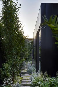 Concrete pavers and gravel framed by greenery in a modern exterior pathway setting
