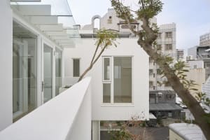 Modern, minimalist house exterior with large glass windows and a tree trunk in the foreground.