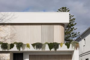 Modern house with exterior cladding featuring plants on a balcony.