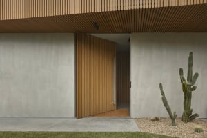 Modern exterior of a house with a wooden front door.