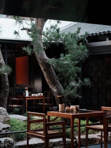 Modern restaurant interior with wooden tables and chairs surrounded by greenery and decorative rocks.