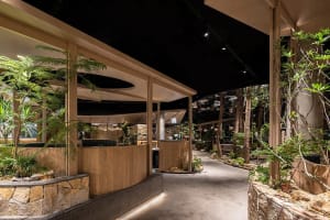 Modern restaurant interior with wooden features, stone elements, and lush greenery.