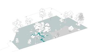 A modern park design featuring mixed-media elements such as trees, pathways, and a central water feature.