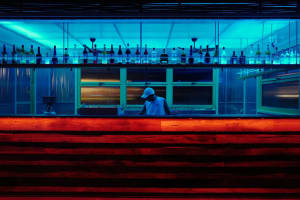 A stylish bar interior with a glass ceiling and warm lighting, featuring a row of bottles on a bar top.