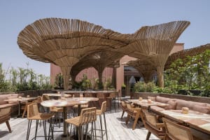An outdoor cafe with modern furniture and a unique, natural wooden canopy