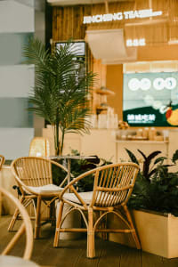 A cozy cafe interior with bamboo woven furniture, green plants, and a warm aesthetic.