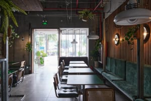 Modern industrial coffee shop with concrete walls, wooden accents, and green plants