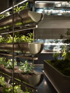 A modern industrial plant wall made of metal and glass hanging from a metal structure.