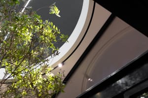 A modern indoor plant surrounded by sleek, minimalist design elements.
